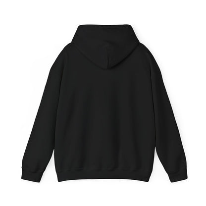 Sermon on the Mount Unisex Hoodie