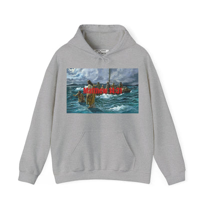 Matthew 14:31 Unisex Hoodie